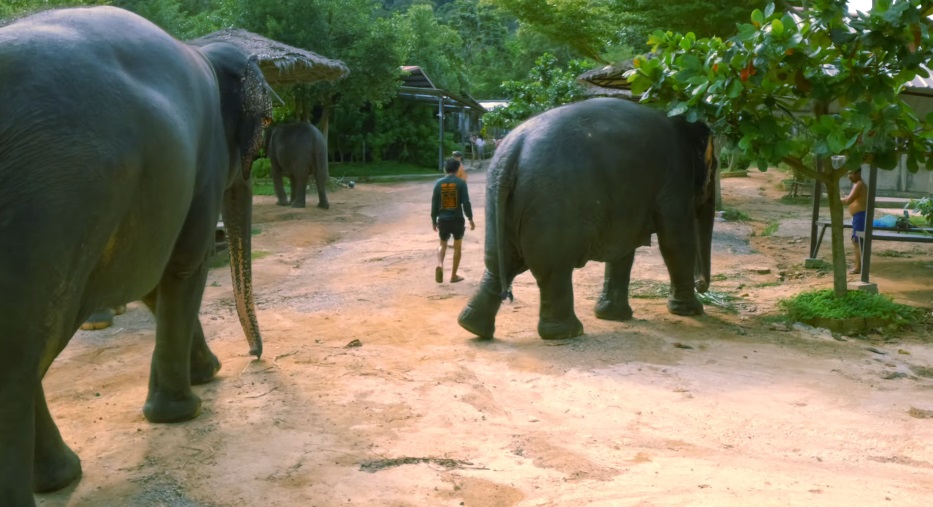 Elephant Wildlife Sanctuary